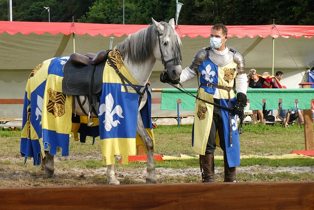 东契奇的打 东契奇的打