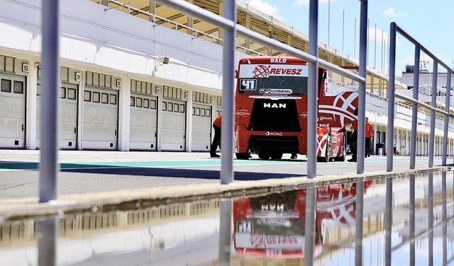 可以保证球 可以保证球