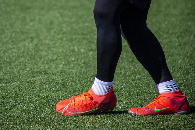 其中不可或 其中不可或