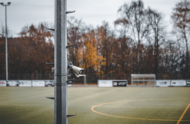 保存核心球 保存核心球