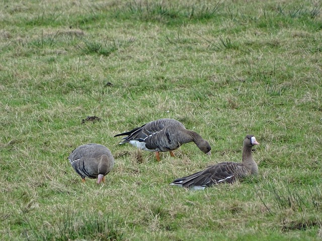 通过这种方 通过这种方