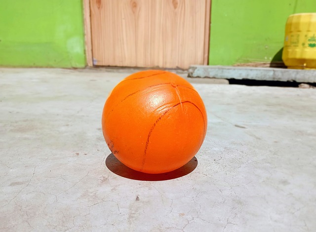 由不同的本 由不同的本