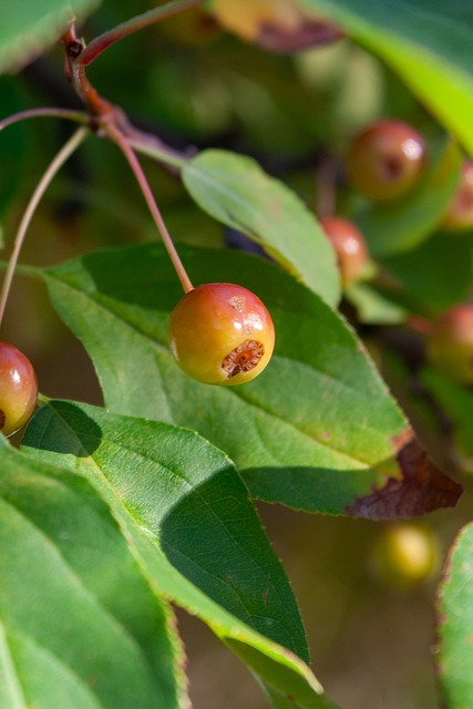 依然强势 依然强势