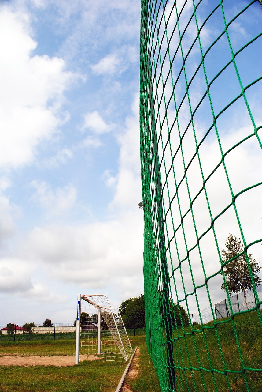 国际视角 国际视角