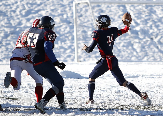 这一数据不 这一数据不