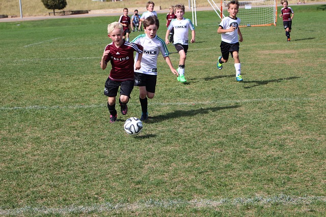 力和搶點嗅 力和搶點嗅